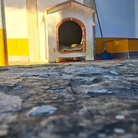 Casa vacanze Windmill House